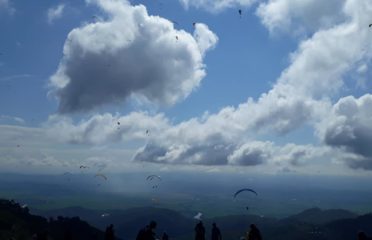 ROLDANILLO – Colombia SA