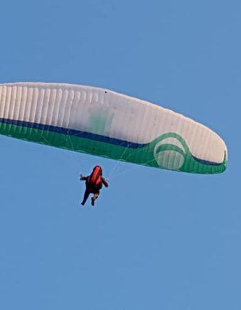 Used Wing Gradient Nevada