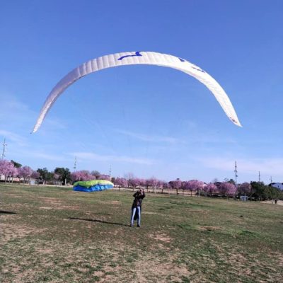 Little Cloud Goose Mk3 Paraglider for Sale