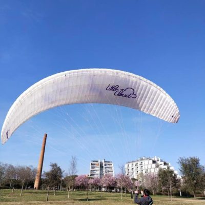 Little Cloud Goose Mk3 Paraglider for Sale