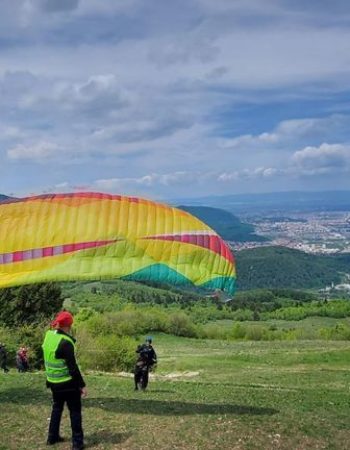 BGD CURE 2 Paraglider for Sale