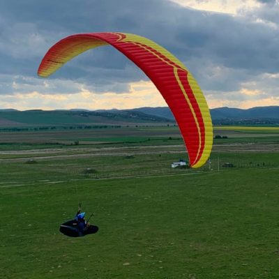 Ozone Delta 3 Wing for Sale